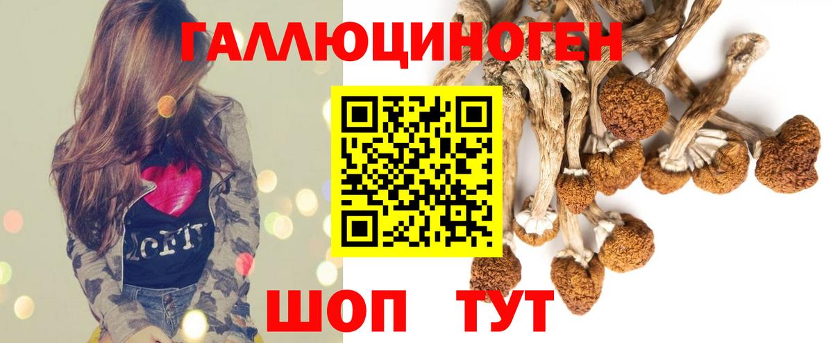 Озёрск  Галлюциногенные грибы Magic Shrooms  Вход с VPN  Галлюциногенные грибы Psilocybine cubensis 
